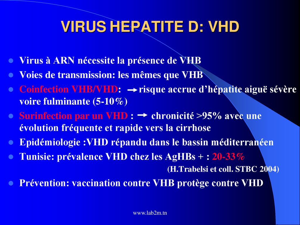 LES HEPATITES VIRALES B ET C ppt télécharger